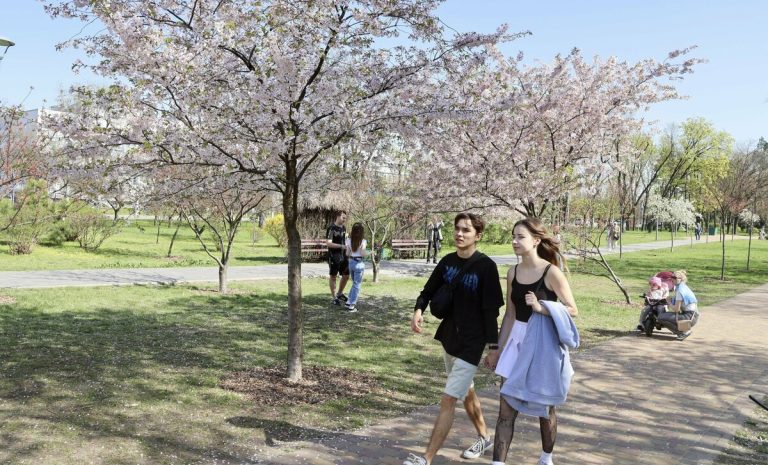 Le parc de Kyoto à Kyiv touché par une attaque de missile russe, 1 mort 4 Le parc de Kyoto à Kyiv touché par une attaque de missile russe, 1 mort